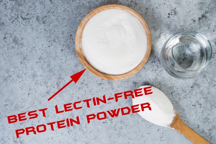 best lectin-free protein powder