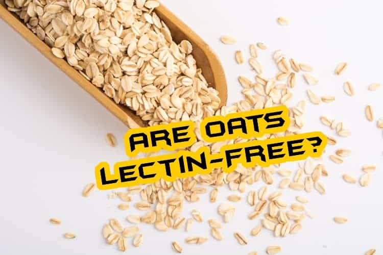 are oats lectin-free