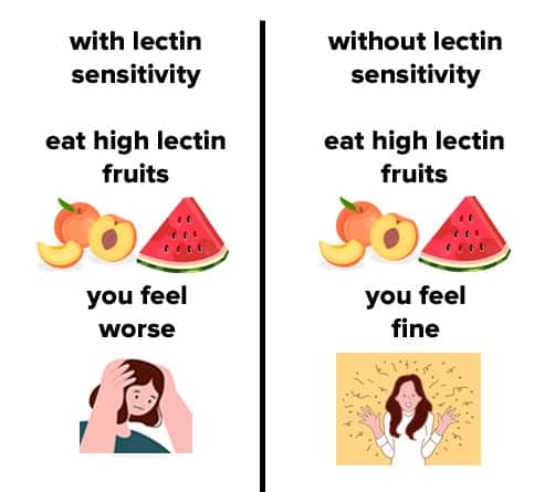 high lectin fruits
