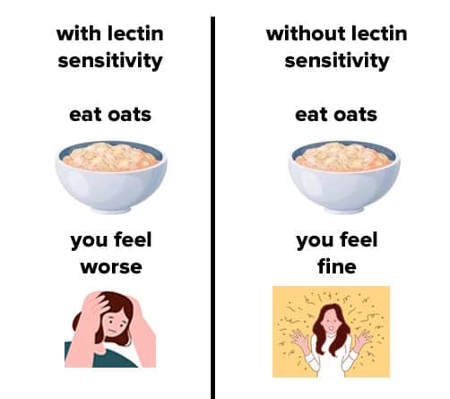 oats lectins