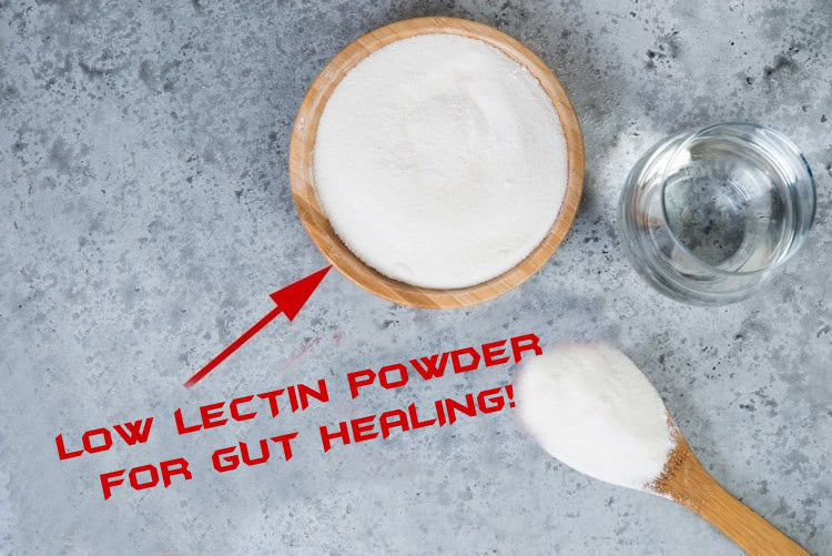 low lectin powder